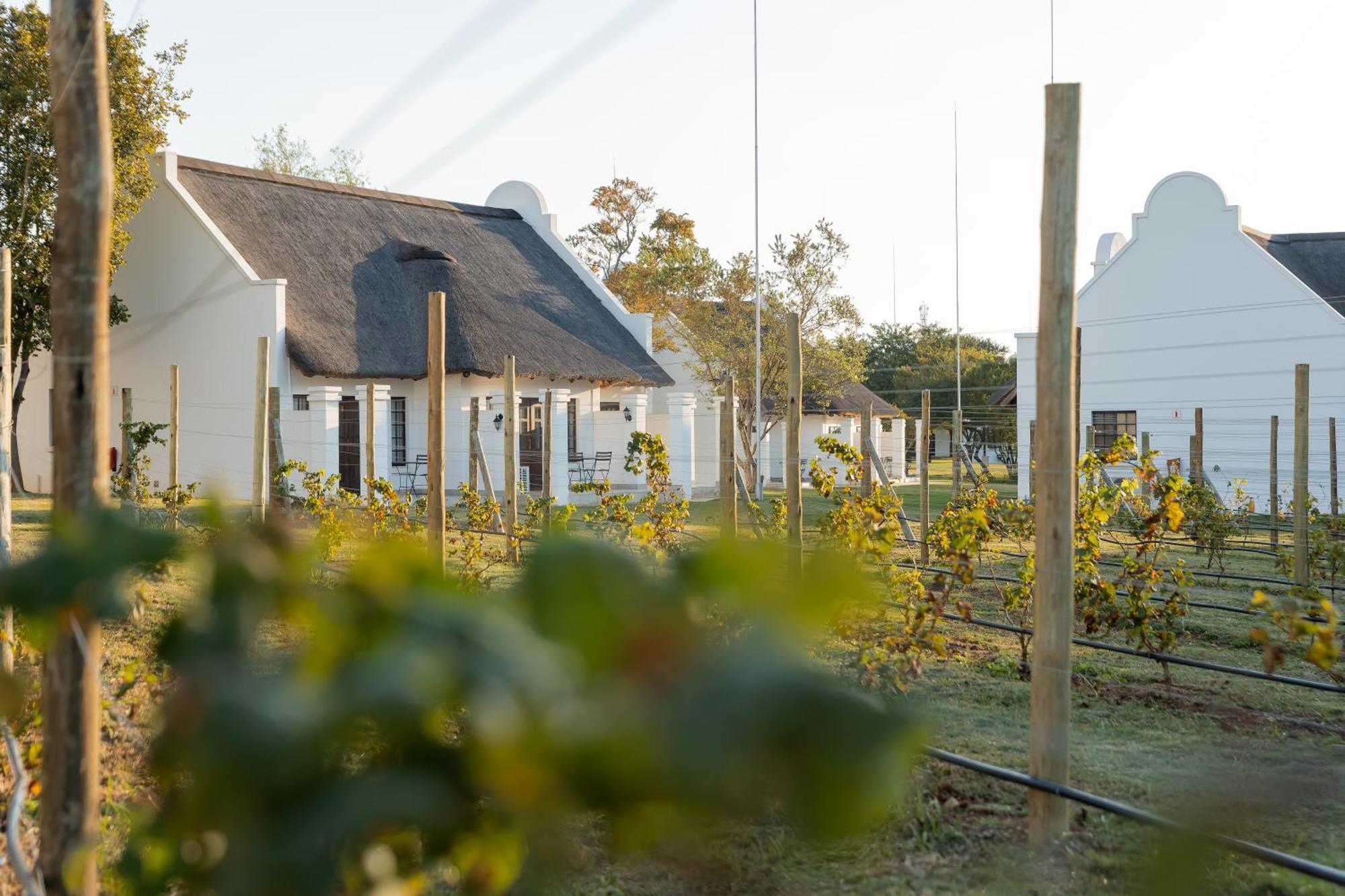 Kievits Kroon Gauteng Wine Estate Pretoria-Noord Zewnętrze zdjęcie